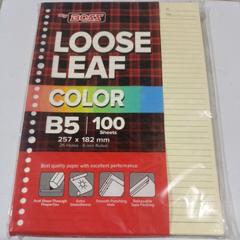 

BIG BOSS LOOSE LEAF / ISI FILE BINDER B5 100