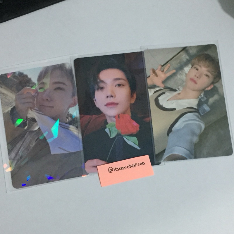 Seventeen Hoshi Hiksrot pair Only