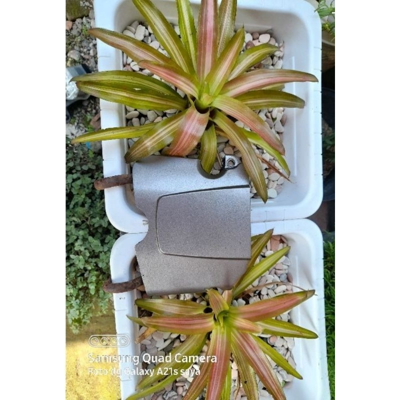 tutup gir depan honda megapro