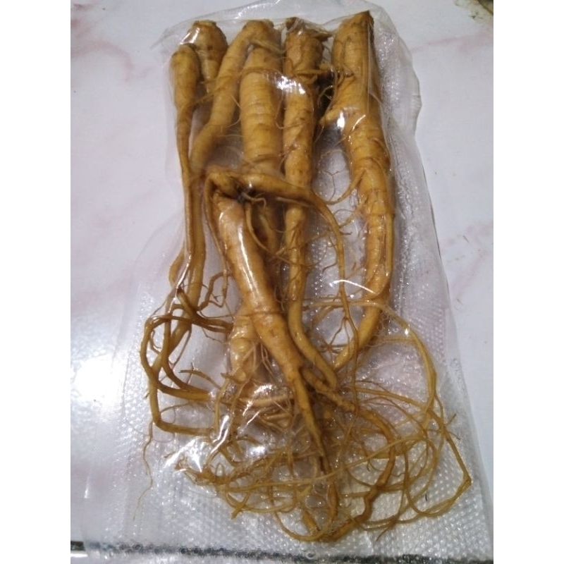 

Ginseng merah segar lokal asli Indonesia