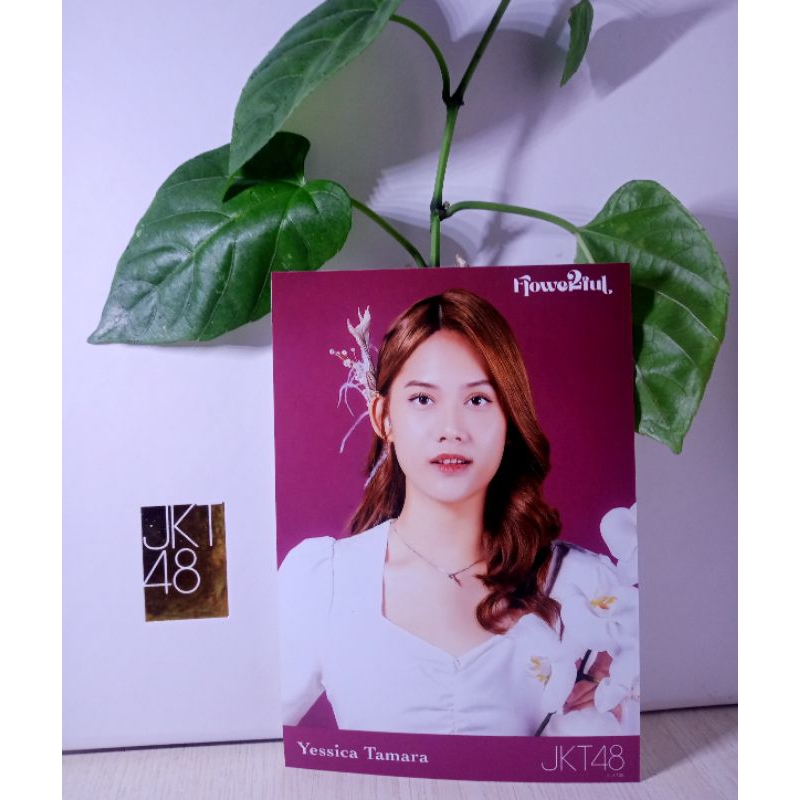 photopack JKT48 flowerfull CHIKA