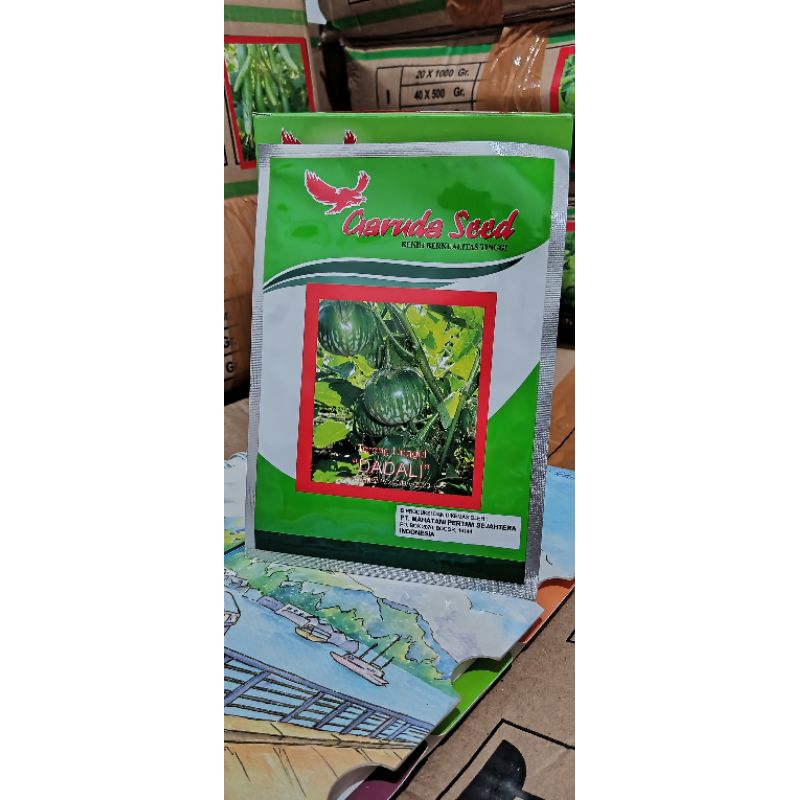 terong bulat hijau unggul (DADALI)
