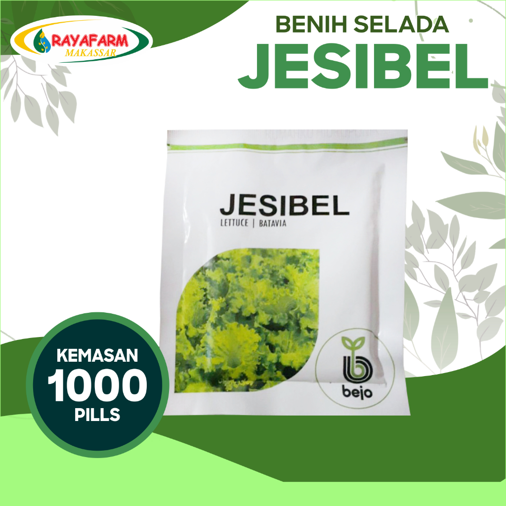 BENIH SELADA JESIBEL 1000 PILL - BEJO SEED