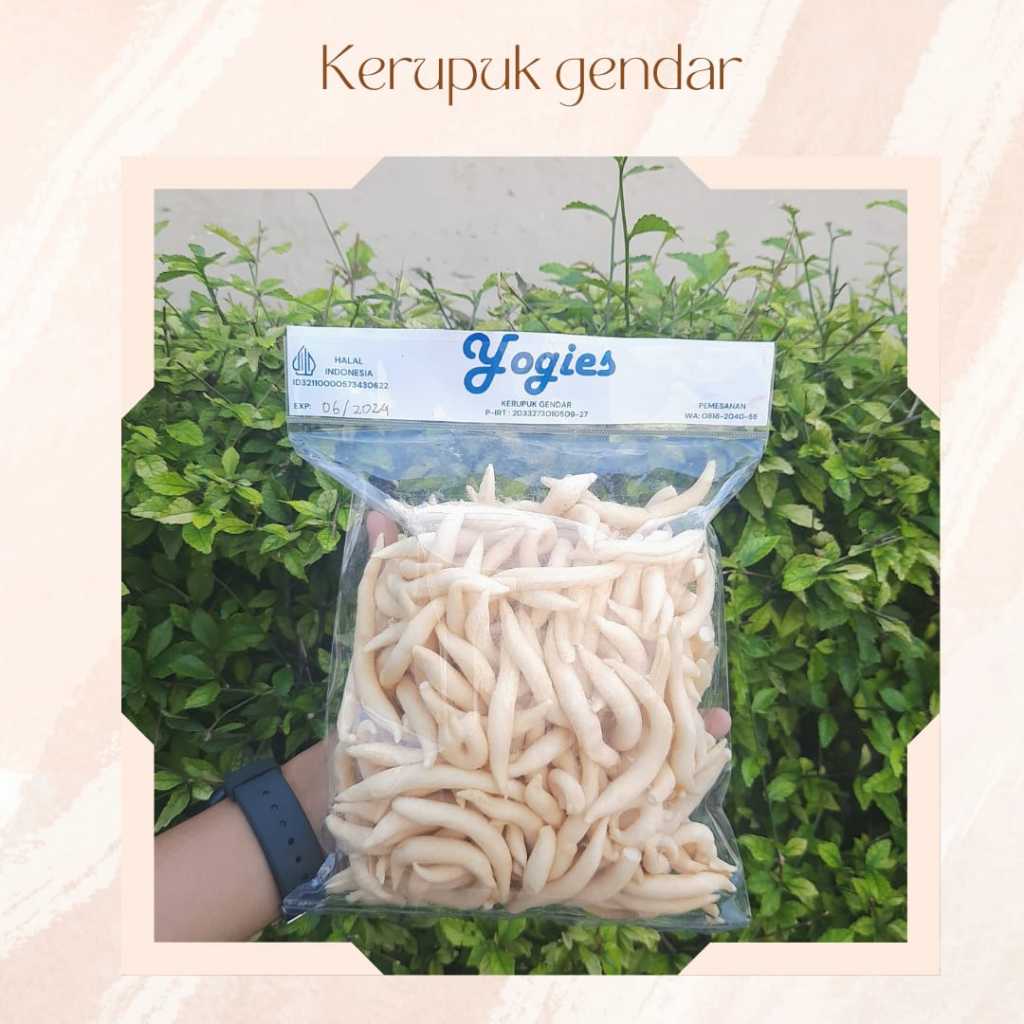 

STICK GABUS KEJU MURAH