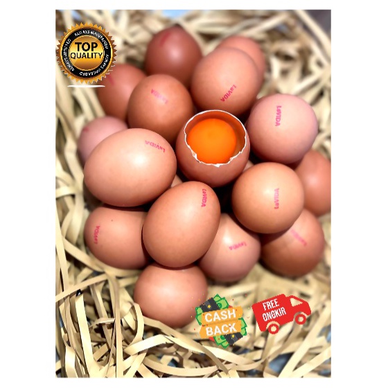

COD TERMURAH Telur LaVIDA Omega 3 ASLI bukan Suntikan 3 butir1 TRAY