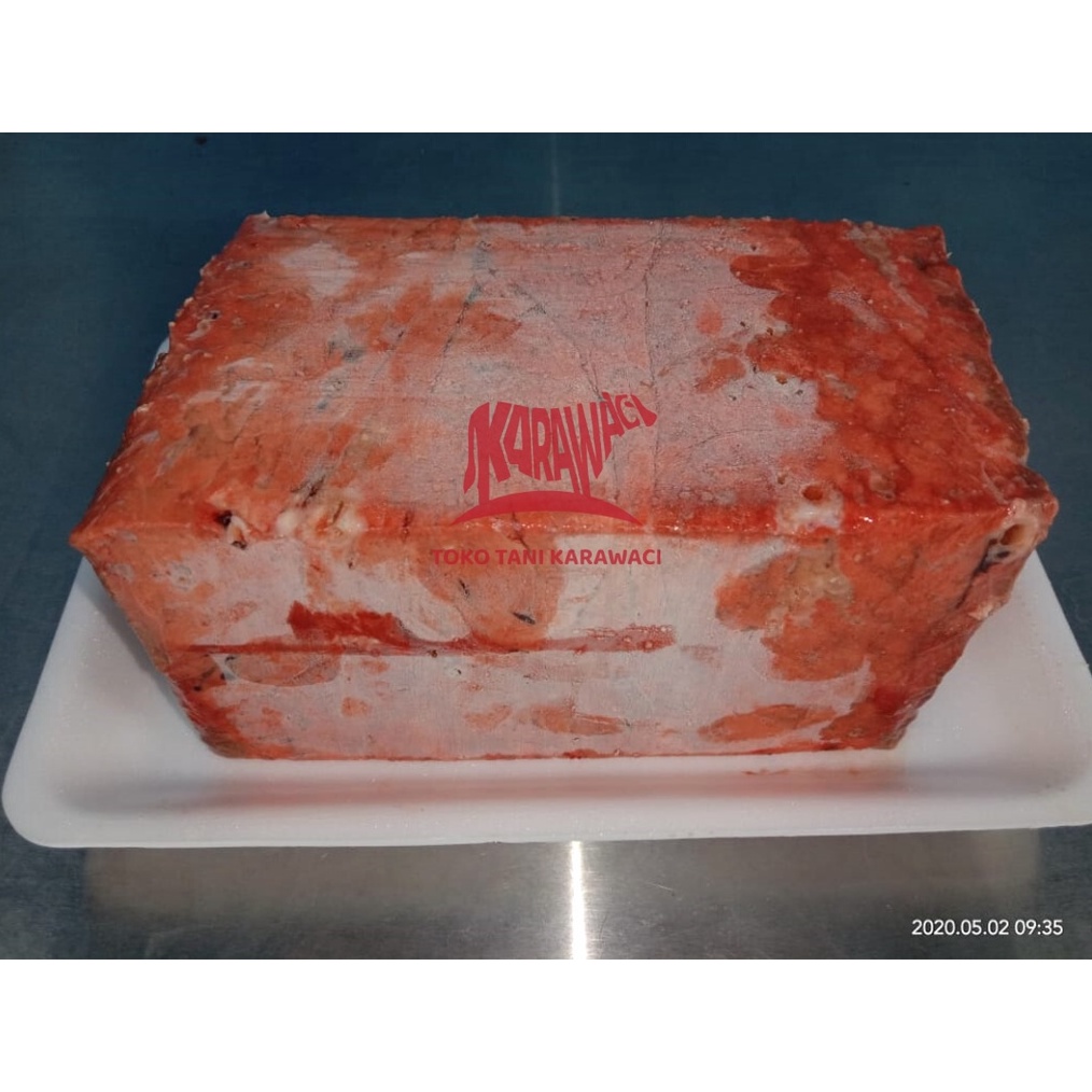 

Import Terbaik Daging Paru Sapi Lung gas