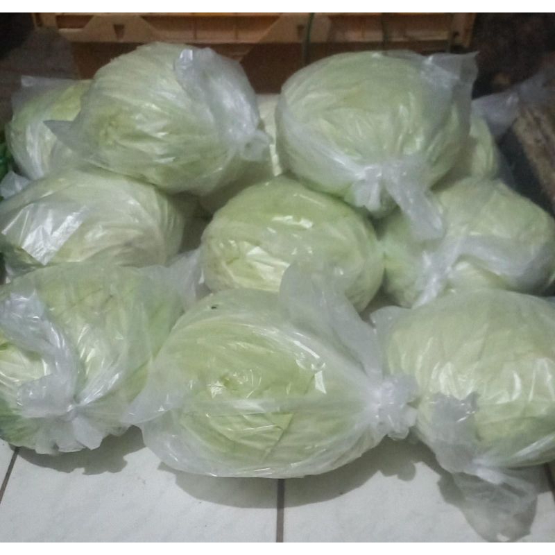 

Kol Putih Pcs 900 Gram