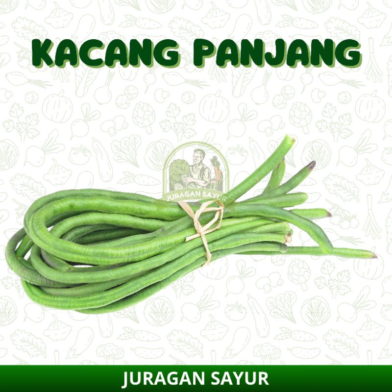 

KACANG PANJANG 1 IKET