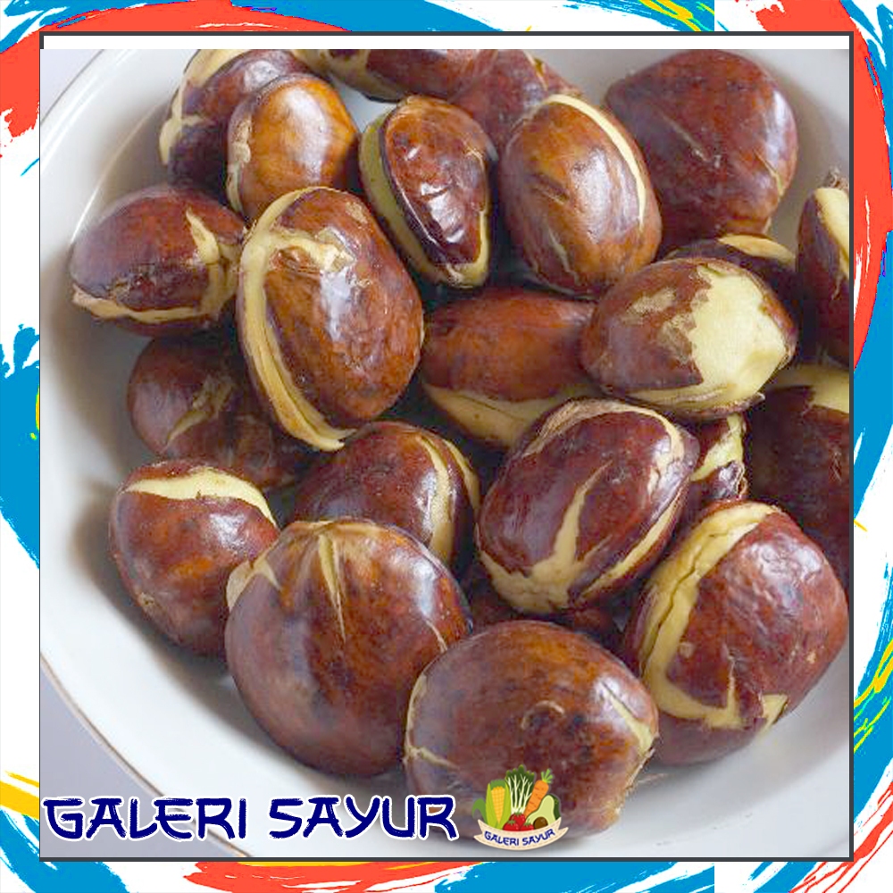 

KIRIM INSTAN Jengkol 1/4 kg dan 1 kg Kualitas Mantap - Galeri Sayur