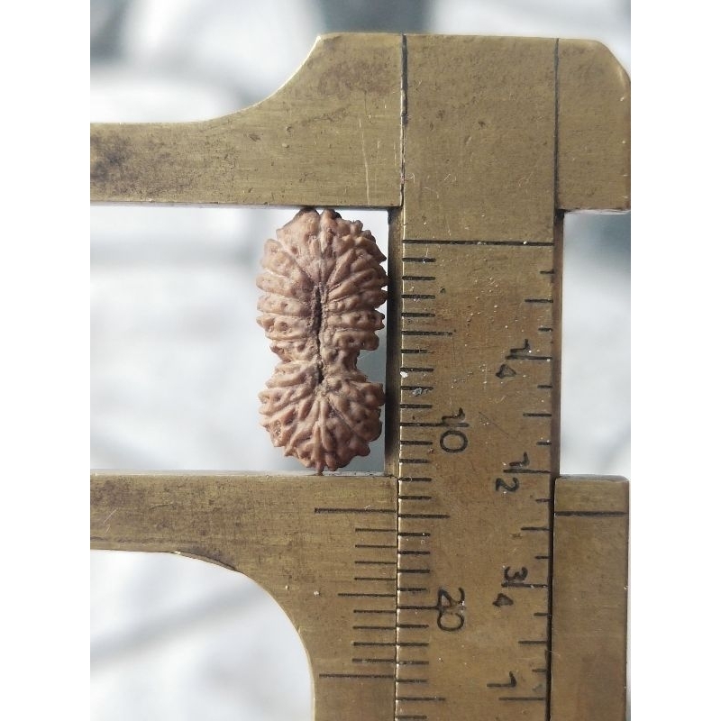 gs mukhi 20  small size quality a