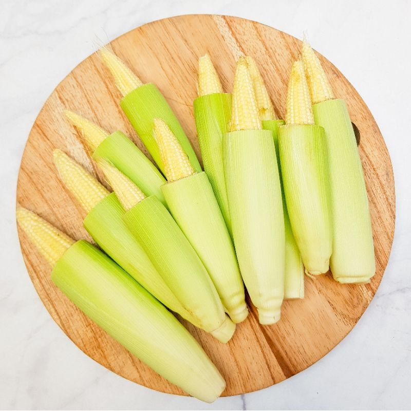 

Kirim Cepat JAGUNG MUDA/PUTREN