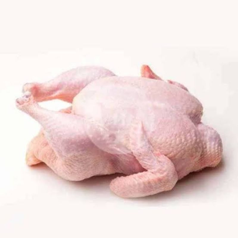 

Ayam Negri Dan Kalasan 1 ekor