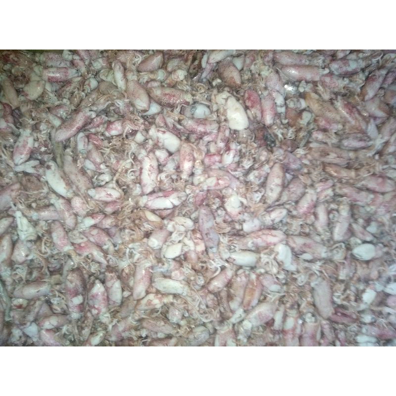 

GROSIR Cumi Baby Asin Murah 250 Gram