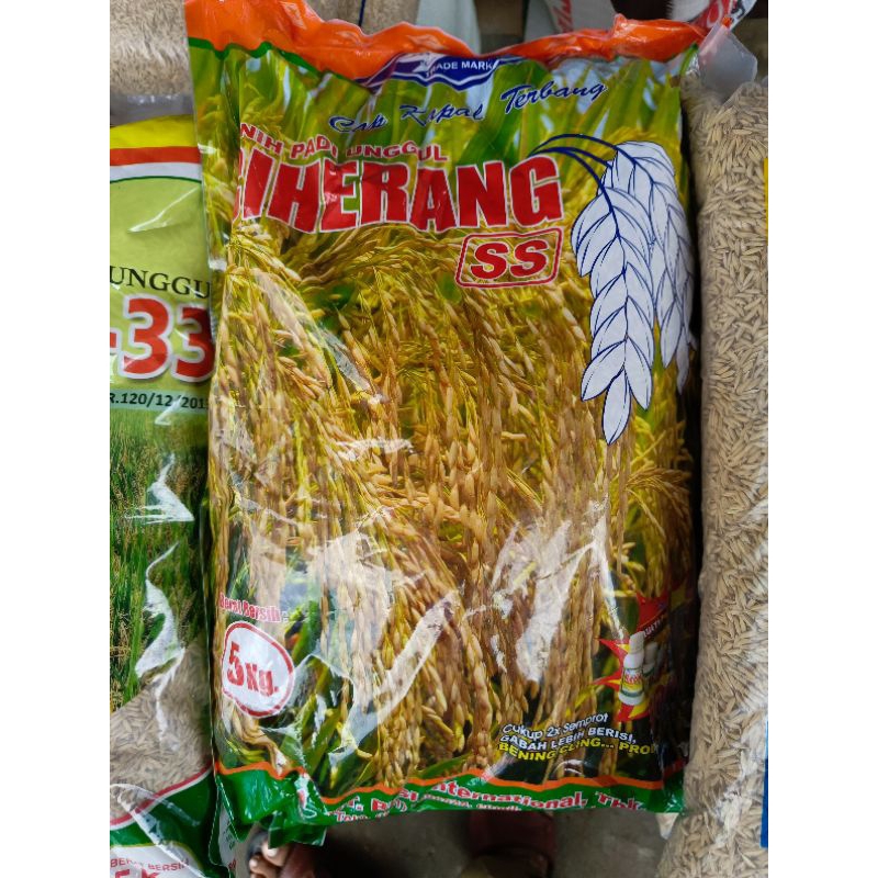Benih Padi Ciherang SS Kapal Terbang Label Ungu 5 Kg