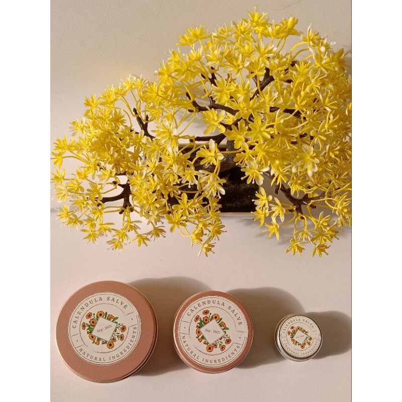 Calendula Healing Salve 15gr