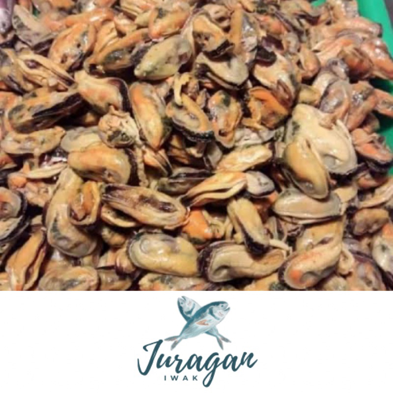 

Kerang biji / Kerang Hijau Kupas (1 kg dan 500gr)