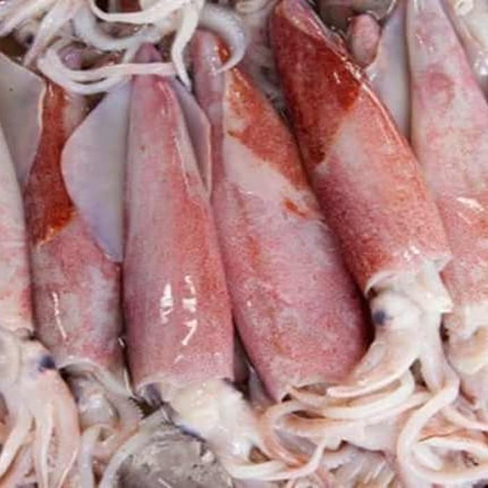 

Cumi Sedang Segar 250/500 gram KIRIM INSTANT