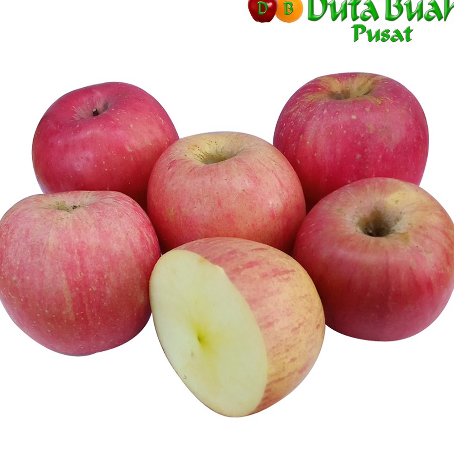 

1111 DUTA BUAH Apel Fuji 9g1kg