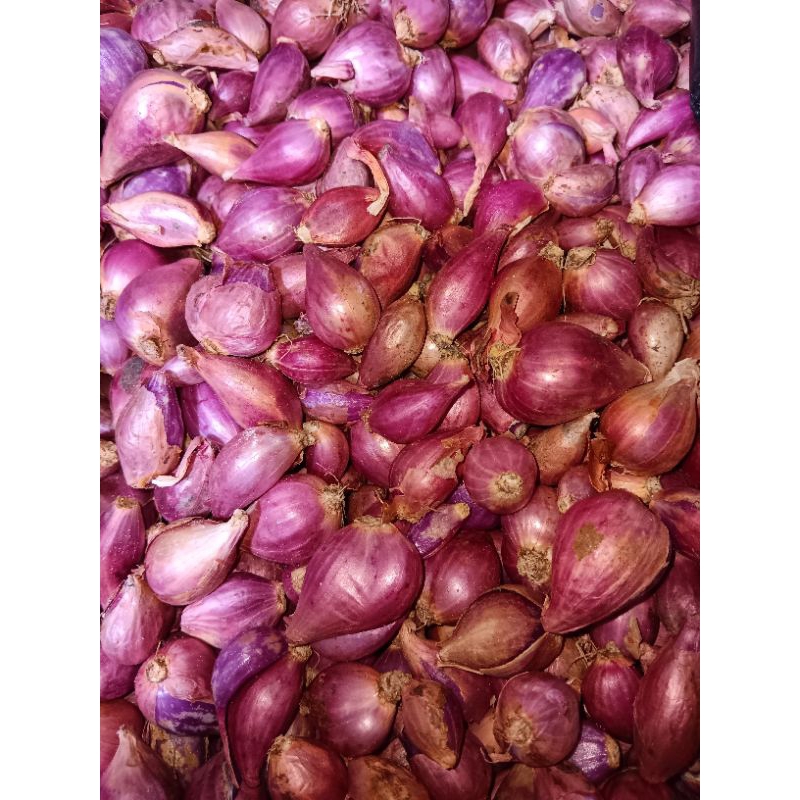 

bawang merah