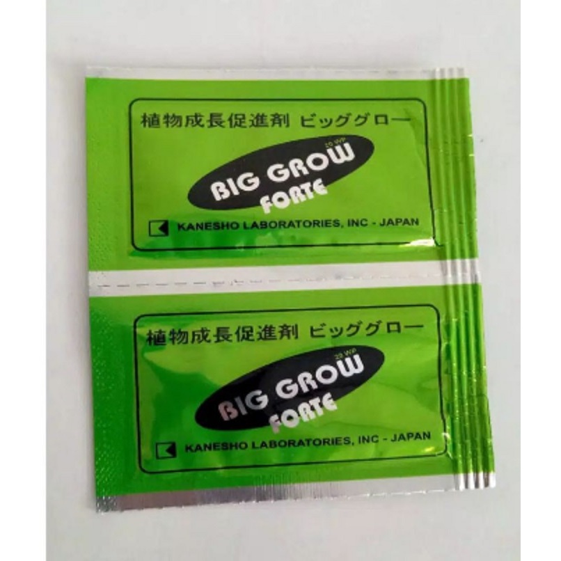 PS - ZPT - BigGrow BIG GROW FORTE 1 gram - GA3 20%