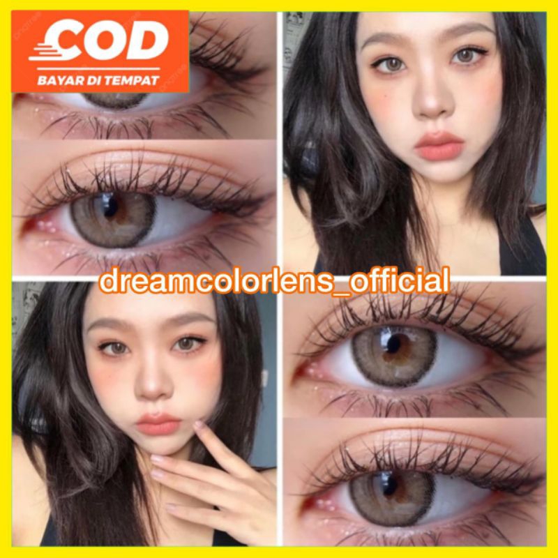 SOFTLENS OLIVIA BROWN | SOFTLENS NATURAL | SOFTLENS MINUS | SOFTLENS BROWN | SOFTLENS KITTYKAWAII