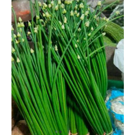 

Kembang Bawang 250 gram KIRIM INSTANT