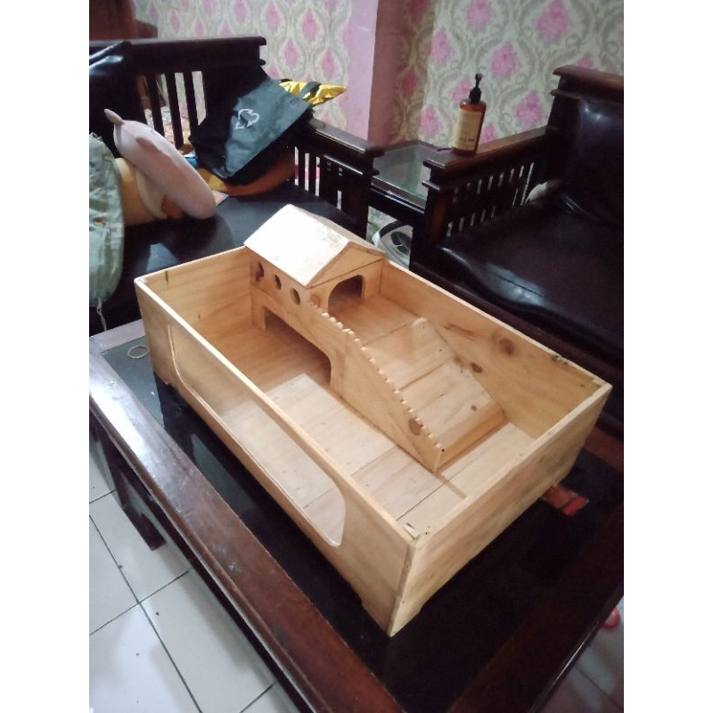 kandang kura kura darat