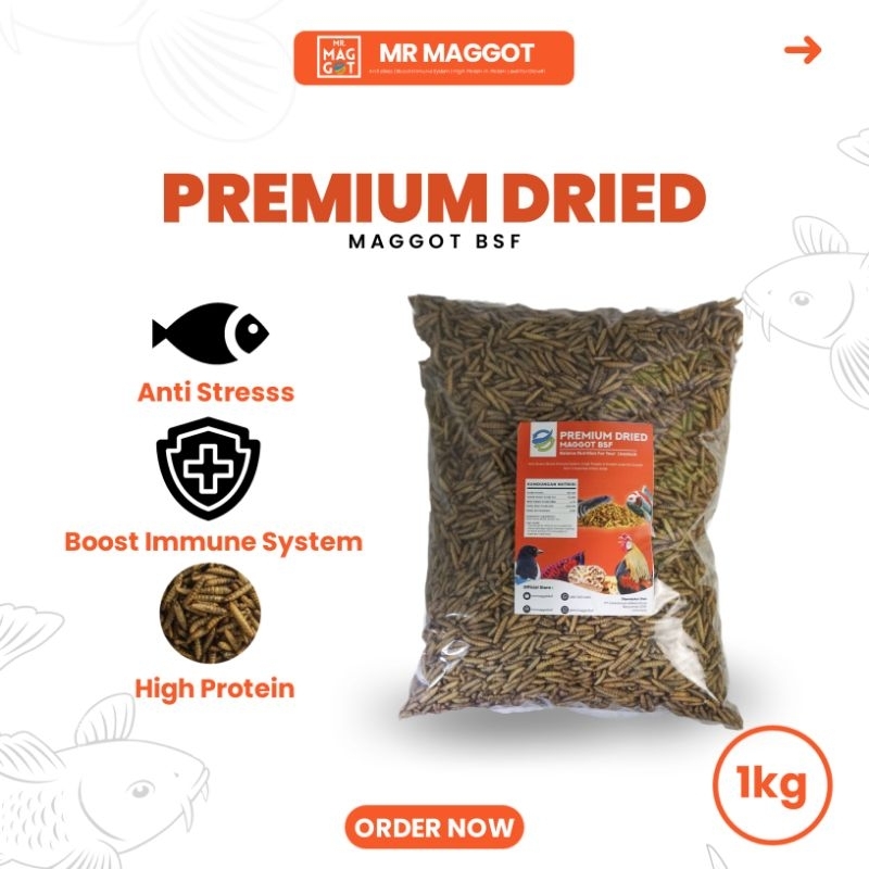 MR MAGGOT - PREMIUM Maggot/Magot Kering 1Kg