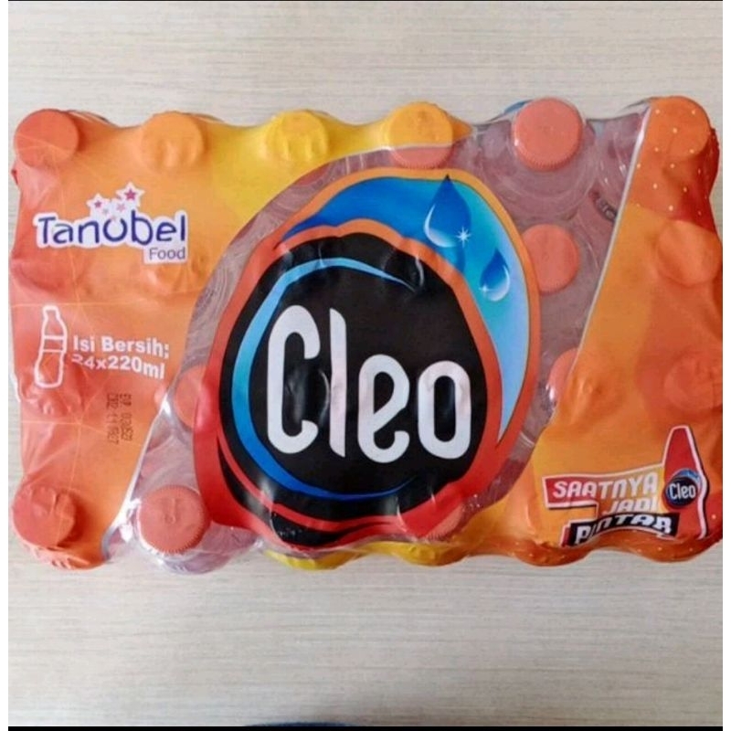 

AIR MINUM CLEO 220 ML ( ISI 24pcs )