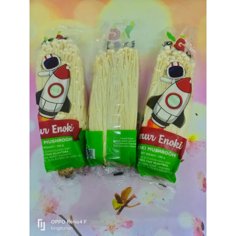 

Jamur Enoki