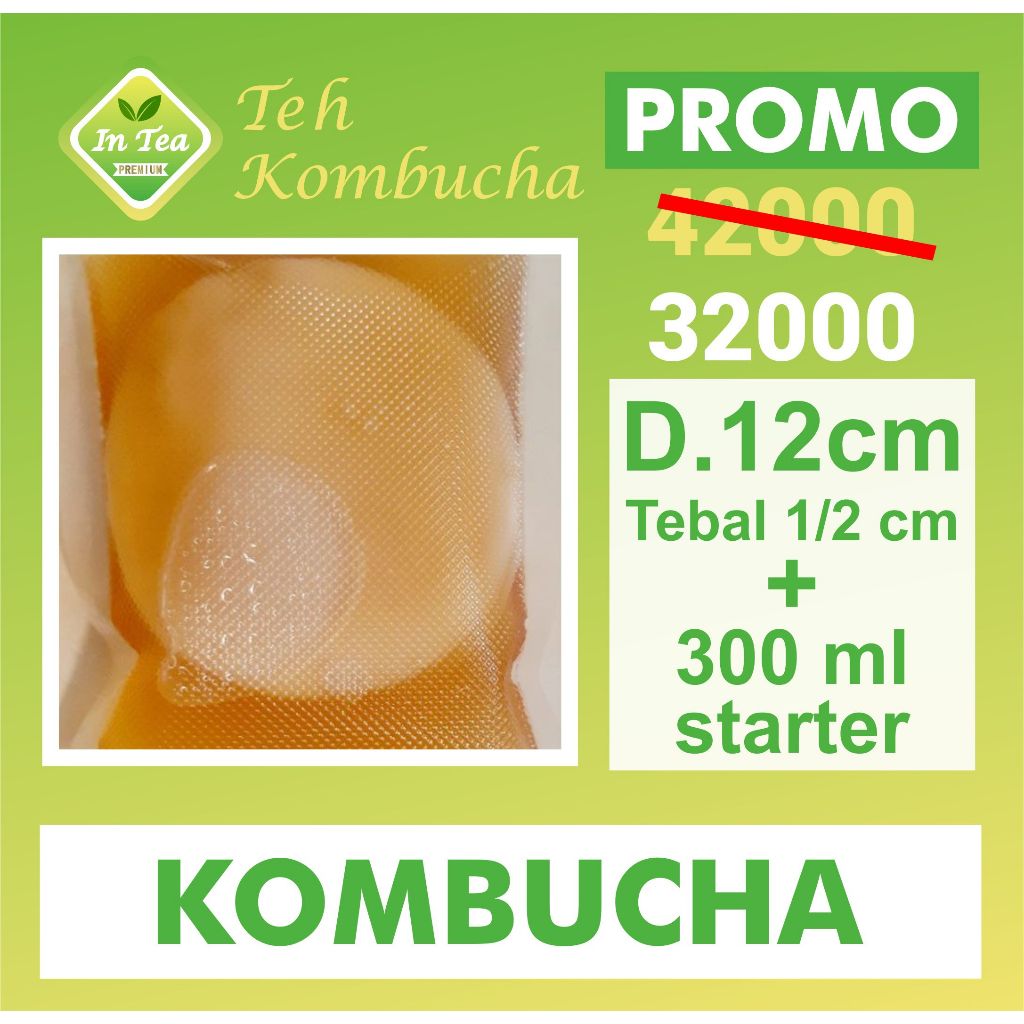 

BIBIT SCOBY KOMBUCHA + STATER KOMBUCHA INTEA