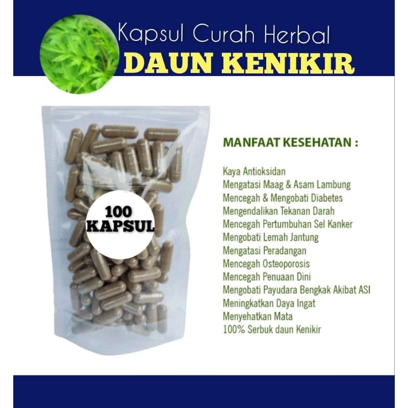 DAUN KENIKIR kapsul Curah HERBAL 100