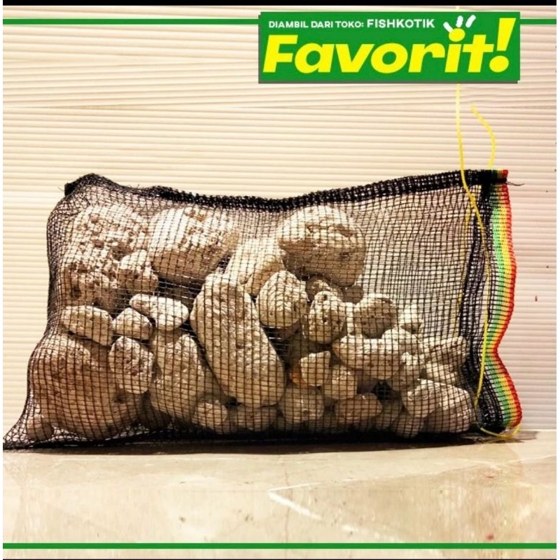 Media Filter Batu Apung Rahasia Air Jernih Kolam Ikan Sehat Besar