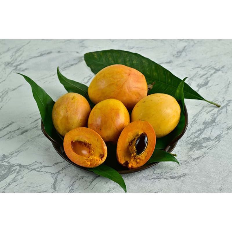 

buah campoleh
