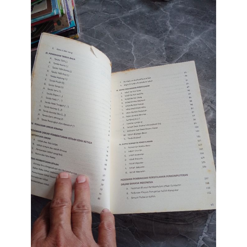 PEDOMAN UMUM EJAAN BAHASA INDONESIA-ERNAWATI WARIDAH-C2