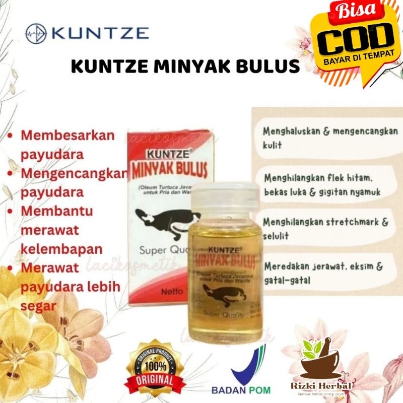 KUNTZE MINYAK BULUS ORIGINAL BPOM | MINYAK BULUS BERKHASIAT