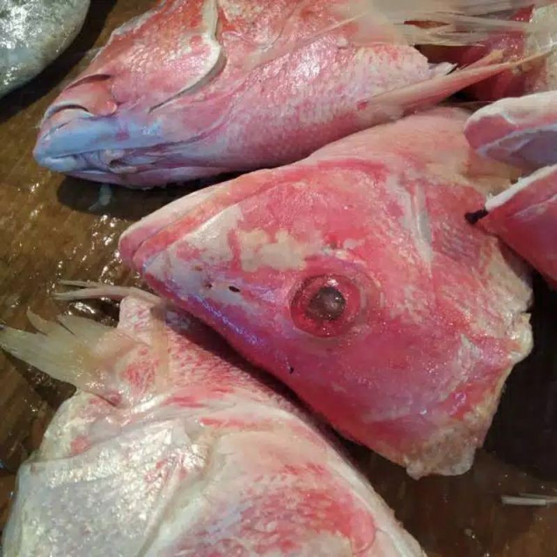 

Kepala Ikan Kakap Merah Putih