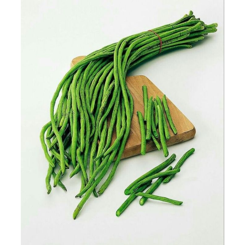 

Kacang Panjang 1 Ikat