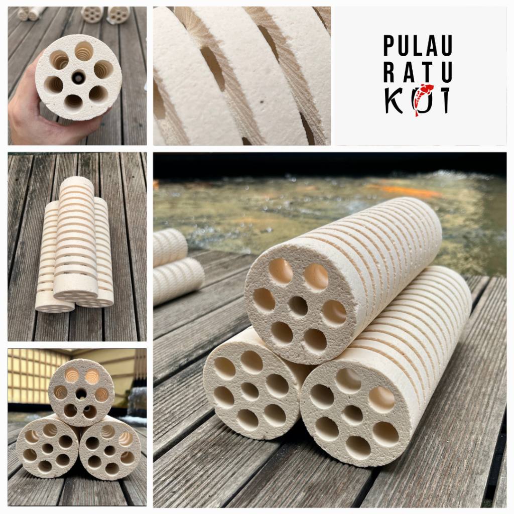 Mountain tree lotus root bacteria house II size XL media filter kolam import 25 x 8 cm