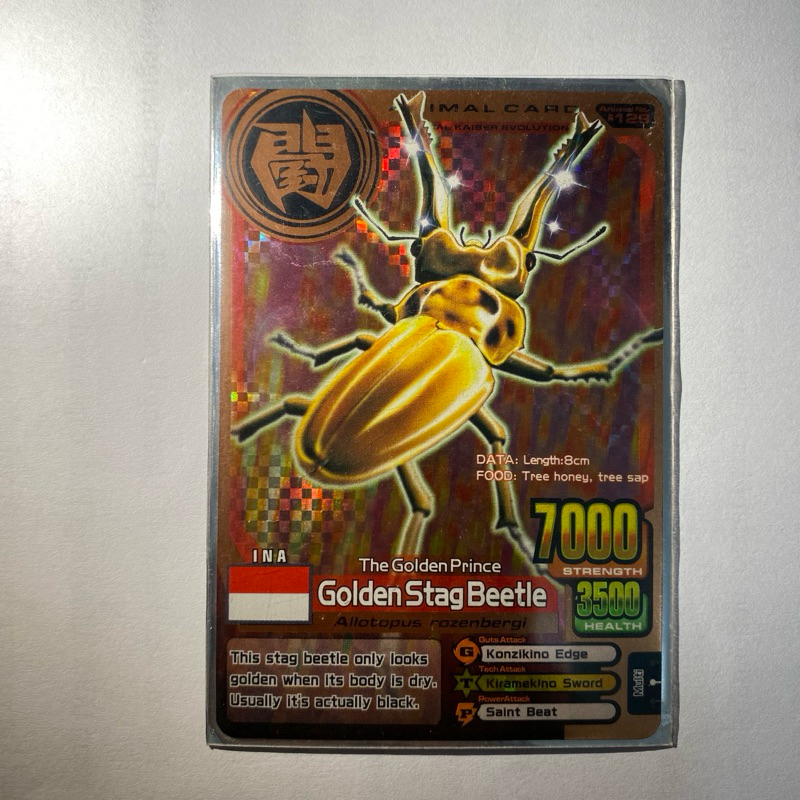 Kartu Animal Kaiser - Golden Stag Beetle