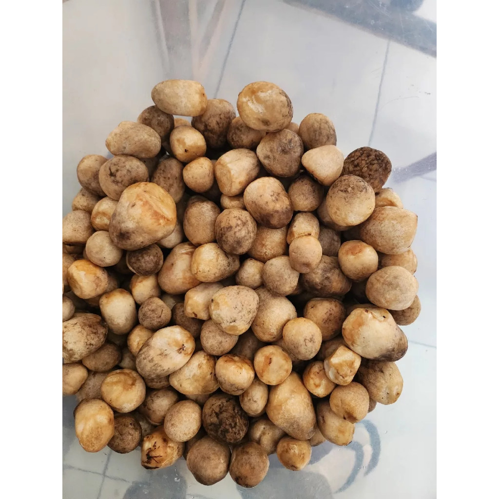 

jamur merang 250gr KIRIM INSTANT