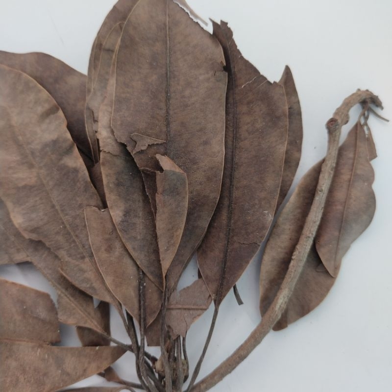 

DAUN SIRSAK KERING 1000gr