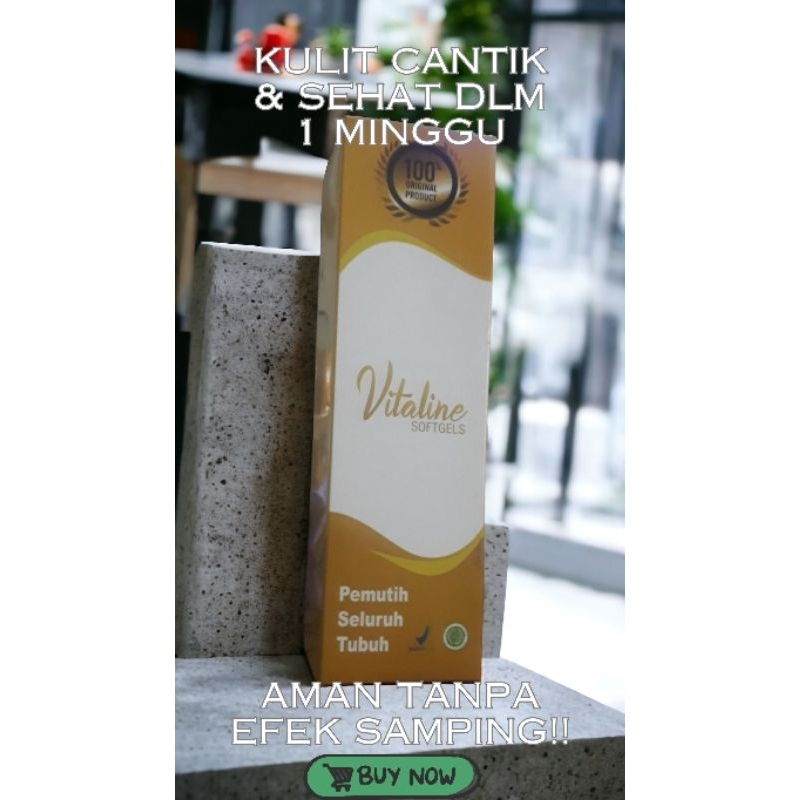 Vitagel Capsule Pemutih Seluruh Tubuh Pemutih Herbal Pemutih Alami Aman