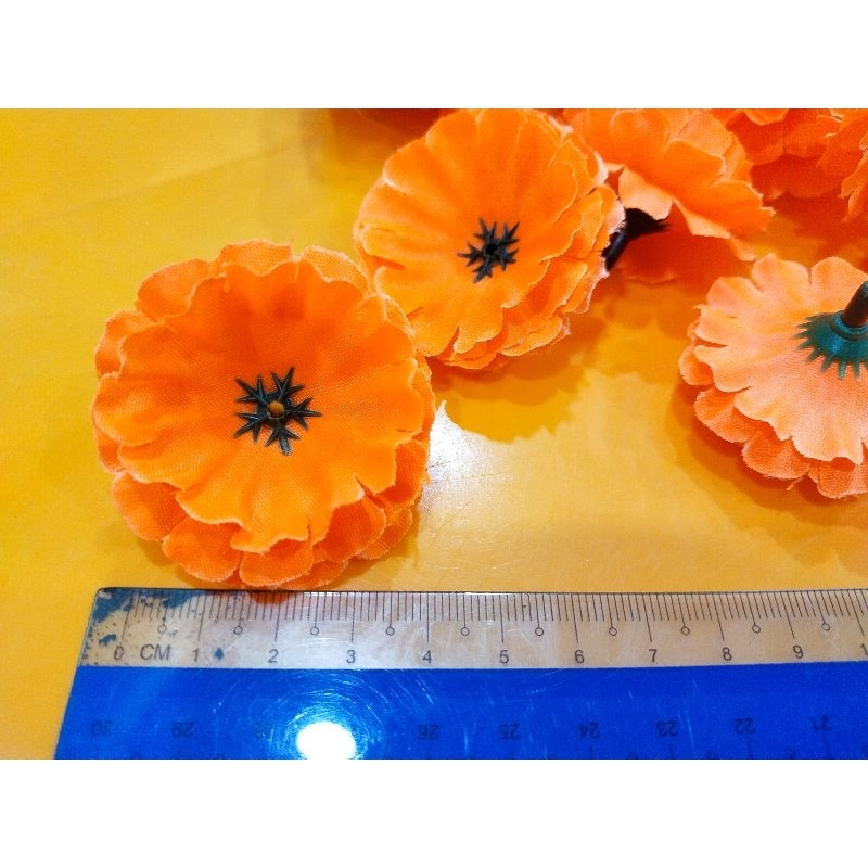 bunga suyok / bunga papan oren stabilo