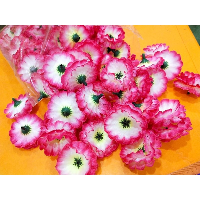 Bunga suyok / bunga papan pink putih