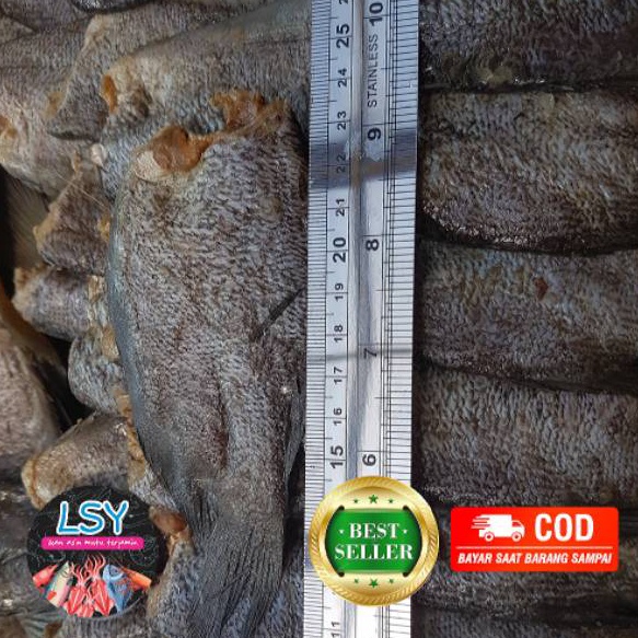 

FG2 IKAN ASIN SEPAT SIAMGURAMIIMPORT KUALITAS NO1 25gr