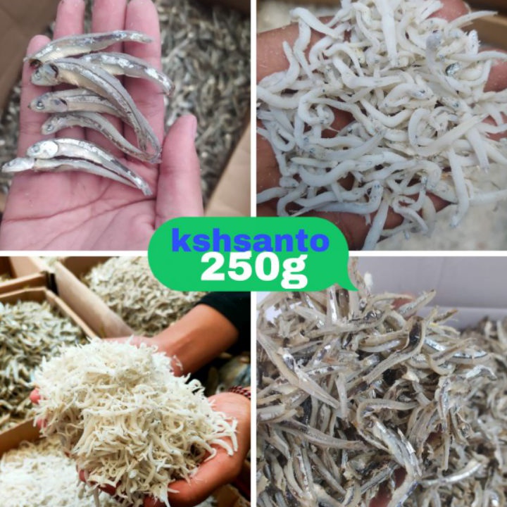 

KI3 ikan asin aneka teri medan netto25g