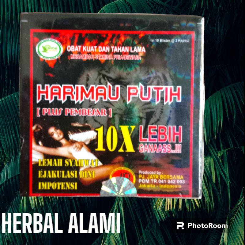 

Harimau putih ORI 10x lebih dahsyat (TERMURAH)