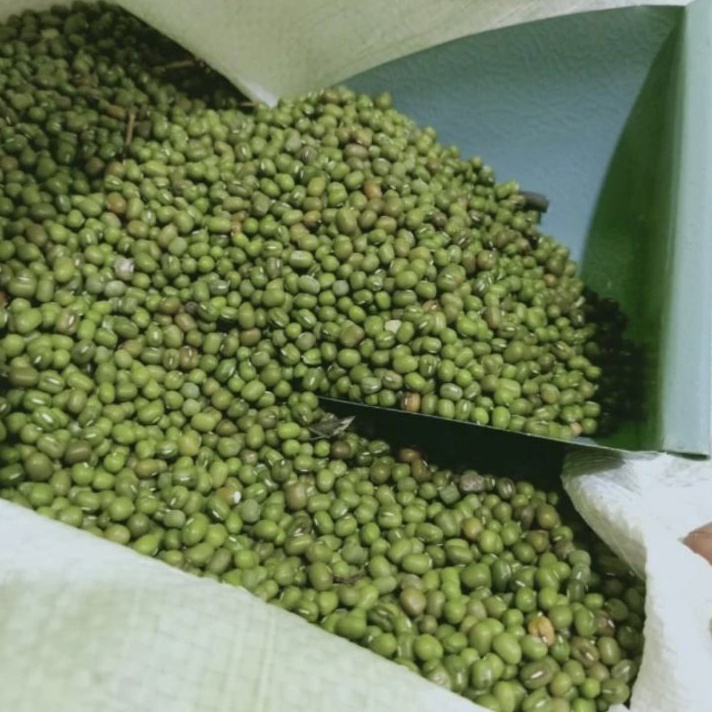 

KI3 kacang ijo Australia kacang ijo lokal bubur 1 kg kualitas super