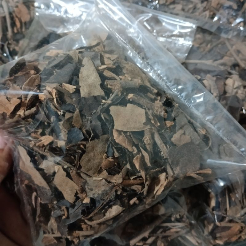 

Benalu Jeruk Purut Kering 250 Gr Asli Original 100%